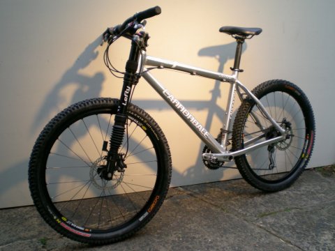 Cannondale caffeine 2024